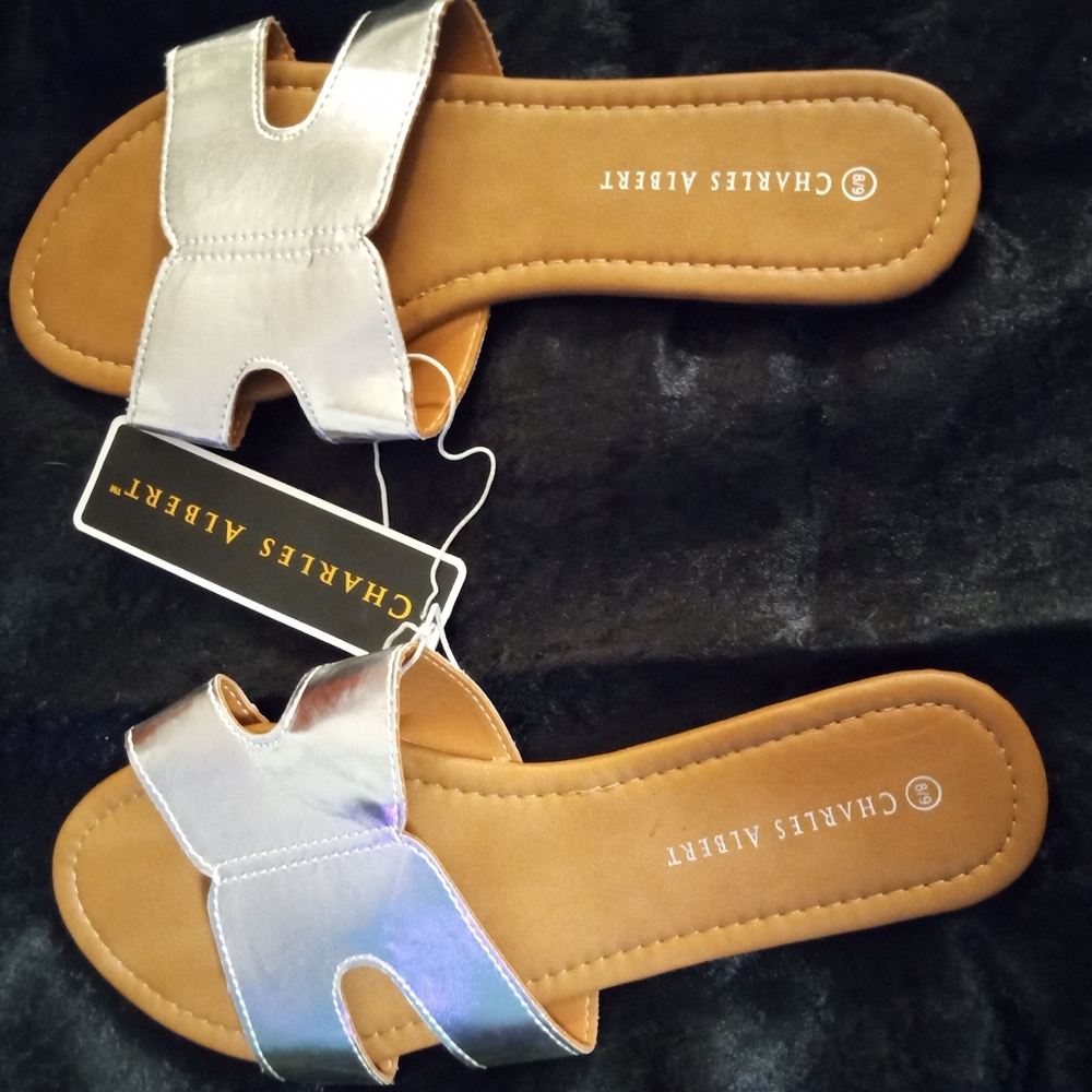 Charles Albert Metallic Silver Sandals